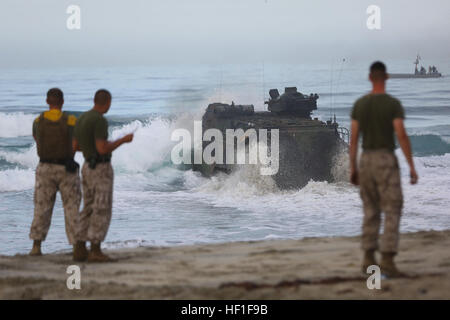 Charlie Company Marines vom 3. Angriffsamphibienbataillon führen am 6. September 2013 eine Surfqualifikation mit Amphibienfahrzeugen vor der Küste durch, um die Evakuierung und das Schwimmen zu gewährleisten. Stockfoto