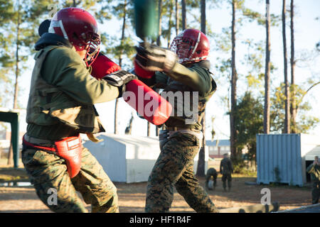 RCT Joseph Lennar, Platoon 2004 und RCT Dakota Jackson, Zug 2005, Kampf mit Pugil Sticks 8. November 2013, auf Parris Island, SC Rekruten Kampf mit Pugil Sticks in zwei 15-Sekunden-spielen, kämpfen mit Bajonett angebracht Gewehre zu simulieren. Dieses Training, zusammen mit anderen Nahkampf Fähigkeiten, ist Teil des Marine Corps Martial Arts Programm, trägt zur mentalen, Charakter und körperlichen Entwicklung der Rekruten und Marines gleichermaßen. Lennar, gebürtiger 20-Year-Old Mount Sterling, Kentucky, und Jackson, ein 18-j hrige ein Eingeborener von Dorset, VT, sind zum Diplom 10. Januar 2014 geplant, Stockfoto