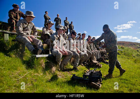 Sgt. Patrique Fearon, Kampfingenieur für 1st Combat Engineer Battalion aus Hartford, Connecticut, geht um Beispiele von improvisierten Sprengkörpern auf Neuseeland und Papua-neuguineischer Ingenieure bei Bekämpfung Hunter training während der Anfangsphase der Übung südlichen Katipo 2013 an Bord Waiouru Military Camp, New Zealand, 9. November. Gemeinsam mit unseren regionalen Verbündeten baut starke multinationale Beziehungen, erweitert Interoperabilität und Bereitschaft für Einsätze erhöht. Drei verschiedene Uniformen trainieren, um Sprengsätze zu identifizieren, während SK13 131109-M-SE196-003 Stockfoto