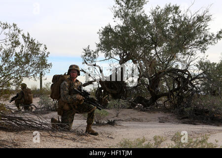 US-Marines mit 3rd Platoon, Fox Company, 2. Bataillon, 1. Marineregiment (2/1), 1st Marine Division (MARDIV), sorgen für Sicherheit während einer taktischen Recovery von Flugzeugen und Personal (TRAP) während der Teilnahme an der Übung Stahl Ritter 2014 (SK-14) in Yuma, Arizona, 9. Dezember 2013. SK-14 ist ein groß angelegtes, kombinierte Waffen, Leben Feuer ausüben Integration von Bodentruppen aus 1. MARDIV, Luftfahrt und logistische Unterstützung von 3. MAW und 1st Marine Logistics Group, um sicherzustellen, dass unsere Nation vollständig für die Beschäftigung als ein Manöver vorbereitet ist über den Bereich der militärischen Operationen zwingen. (U.S. Marine Corps phot Stockfoto