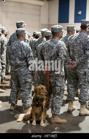 Rosco, einer posttraumatischen Störung Begleiter Tier steht hinter seinem Besitzer Sgt. 1. Klasse Jason Syriac, ein Militär Polizist mit der North Carolina National Guard Headquarters und Headquarters Company, 130. Manöver Enhancement Brigade, in seiner Einheit Armory in Charlotte, NC, bei Bildung, Jan. 11. Syrisch, eine zweimalige Irak-Krieg-Veteran, sagte, er hofft, dass die Erfahrung von anderen Soldaten treffen Rosco, andere Service-Mitglieder, die die Vorteile eines Tieres Begleiter für Menschen mit PTSD zu verstehen hilft. (US Army National Guard Foto von Staff Sgt Mary Junell, 130. Manöver En Stockfoto