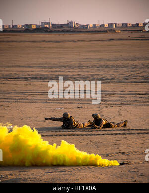 Marines aus der 13. Marine Expeditionary Unit teilnehmen in ein Gelenk-Zweig Luft Angriff Übung mit Verstärkung und eine simulierten Stadt nach dem Transport von UH-60 Blackhawks clearing betrieben von A Firma, 3. Bataillon, 142. Attack Helicopter Company, 42. Combat Aviation Brigade, am 20. Januar 2013, in der Nähe von Camp Buehring, Kuwait.  Die 42. CAB, New York Army National Guard, betreibt rotary geflügelten Flugzeuge in der Region zur Unterstützung der Operation Enduring Freedom und regelmässig trainiert mit anderen US-militärische Niederlassungen, joint-Service-Fähigkeiten zu verbessern.  (New York Army National Guard Foto: Stockfoto