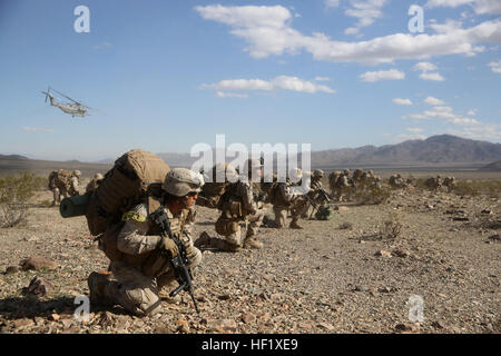 Marines mit Bravo Company, 1. Bataillon, 7. Marineregiment, bieten Sicherheit nach dem Transport zu ihrem Ziel von einem CH-53 super Meer Hengst Hubschrauber im Marine Corps Air Ground Combat Center Twentynine Palms, Kalifornien, 3. Februar 2014. Marines wurden zwei Kilometer vom Lava-Trainingsbereich eingefügt, wo sie Feuer und über unwegsames Gelände zu einem Ziel zu manövrieren und Verteidigungsstellungen einrichten mussten. Nach der Verteidigung der Region für 36 Stunden, die Infanteristen einen feindlichen Nacht Angriff und Gegenangriff über fünf Kilometer, die drei-Tages-Trainingsübung abzuschließen ausgeführt.  (US Stockfoto