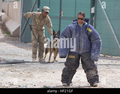 Sgt. 1. Klasse Sherise Stephens, Kandahar Haft Wiese Unteroffizier verantwortlich, 551st Military Police Company, bereitet durch eine militärische Gebrauchshund während einer Übung 19. März 2014, am Kandahar Flugplatz, Afghanistan vertrieben zu werden. Militärangehörige stationiert KAF meldete sich freiwillig zur Teilnahme an der Übung wo die Hunde eine Vielzahl von Techniken zeigten, um ihr Ziel zu stoppen.  (US Armee-Foto von CPL. Mariah beste) KAF-Service-Mitglieder helfen militärische Arbeitshunde 140319-Z-TF878-855 trainieren Stockfoto