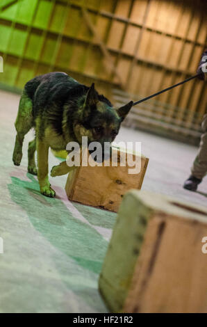 Max, ein Deutscher Schäferhund mit AMK9, demonstriert seine Fähigkeiten während einer Hundeausstellung Zwinger afghanische Kinder im Rahmen der Operation Outreach Afghanistan. (US Army National Guard Foto von Captain Mike Thompson/freigegeben) Outreach Afghanistan Kinder Operationstag 140323-Z-MV865-782 Stockfoto