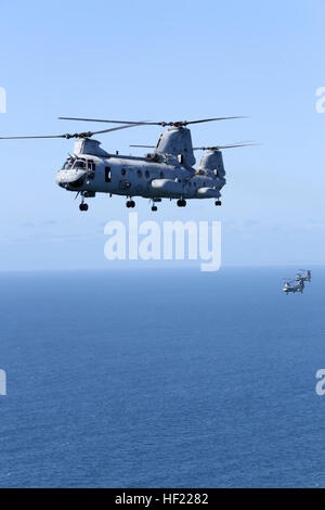 US-Marines mit Marine Medium Helicopter Squadron (HMM) 364, Marine Aircraft Gruppe 39, 3rd Marine Aircraft Wing (MAW), fliegen CH-46E Sea Knight Hubschrauber über San Diego, Kalifornien, 31. März 2014. Nach 47 Jahren fliegt die CH-46 HMM-364, "Flies the Barn", ausziehen und Landung im Einklang und in Masse Formationen fliegen bedeutet den Übergang in die MV-22 Osprey. (Foto: U.S. Marine Corps SGT Keonaona C. Paulo, 3. MAW bekämpfen Kamera/freigegeben) Lila Füchse "fliegen die Scheune" 140331-M-EF955-087 Stockfoto