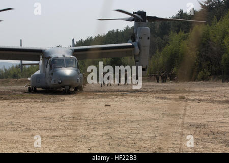 Republik der Korea Marine intergraded mit US-Marines mit Fox Company, Battalion Landing Team 2. Marines, 3. Bataillon, einen simulierten vertikalen Angriff während Ssang Yong 14, am alten Armee Tank Battalion, Pohang, Südkorea, 2. April 2014 durchzuführen. Übung Ssang Yong wird jährlich in die Republik Korea, Interoperabilität zwischen USA und ROK Kräfte durch ein breites Spektrum an amphibische Operationen ausführen, während präsentiert seegestützte Machtprojektion im Pazifik durchgeführt. (US Marine Corps Foto von CPL. Sara A. Medina, III MEF Kampf-Kamera/veröffentlicht) UNS, Republik Korea vertikalen Angriff Übung Stockfoto