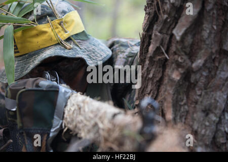 Republik der Korea Marine mit 21. Airborne, nimmt 1. Marineabteilung Abdeckung als Feind Kraft Ansätze während des simulierten vertikalen Angriff Trainings für Ssang Yong 14, am alten Armee Tank Battalion, Pohang, Südkorea, 2. April 2014. Übung Ssang Yong wird jährlich in die Republik Korea, Interoperabilität zwischen USA und ROK Kräfte durch ein breites Spektrum an amphibische Operationen ausführen, während präsentiert seegestützte Machtprojektion im Pazifik durchgeführt. (US Marine Corps Foto von CPL. Sara A. Medina, III MEF Kampf-Kamera/veröffentlicht) UNS, Republik Korea vertikalen Angriff Übung während der Ssang Yong Stockfoto