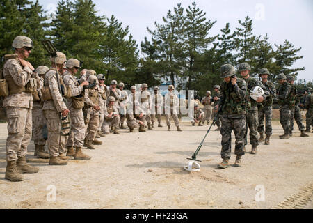 Republik von Korea Marines demonstrieren eine Minenräumung Technik für US-Marines 21 April während koreanische Marine Austauschprogramm 14-6 in Pohang, Südkorea. Marines verwenden Metalldetektoren, um improvisierte Sprengsätze zu identifizieren, Landminen oder alles, was potentiell schädlich ist unterirdisch begraben. Die ROK Marines sind mit dem 1. ROK Marine-Ingenieur-Bataillon, 1. Marineabteilung ROK. Die US-Marines sind mit 9. Ingenieur Support Battalion, 3rd Marine Logistics Group, III. Marine Expeditionary Force. ROK, US-Marines erneut Grundlagen der Minenräumung 140421-M-TF269-627 Stockfoto