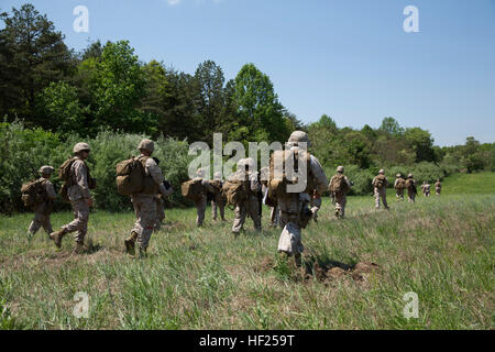 Die Evakuierung Control Center Team mit Combat Logistik-Bataillon 2, 2. Marine Logistics Group, II. Marine Expeditionary Force Patrouillen durch ein Feld als Teil einer nichtkämpfenden Evakuierung üben an Bord der Marine Corps Base Quantico, Virginia, 13. Mai 2014. Die Marines flog in den Trainingsbereich auf MV-22 Fischadler vom Marine Corps Air Station New River. (Foto: U.S. Marine Corps CPL Shawn Valosin) CLB-2 führt NEO Übung an Bord Quantico für baldige Entsendung 140513-M-IU187-001 Stockfoto