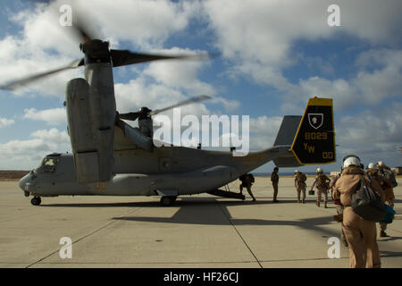 US-Marines und Segler mit Marine Aircraft Group (MAG) 11 und MAG-16, 3rd Marine Aircraft Wing (MAW) an Bord ein MV-22 Osprey mit Marine Medium Tiltrotor Squadron (VMM) 165, MAG: 11, 3. MAW am Naval Auxiliary Landeplatz Insel San Clemente, Kalifornien, 21. Mai 2014. VMM-165 transportiert, Marines, Segler und Ausrüstung zu Naval Auxiliary Landeplatz Insel San Clemente, um in einer Such- und Übung (SAREX) unter der Leitung von Marines, Matrosen und Küste Gardisten, zur Verbesserung des Piloten überleben Methoden und der Such- und Rettungsdienst Koordination und Verfahren zu beteiligen. (U.S. Marine Corps ph Stockfoto