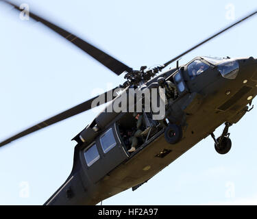 Swat hawk sales