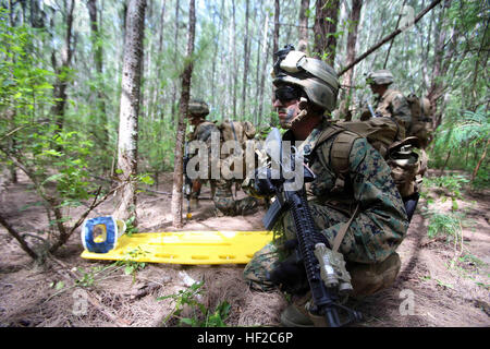 HM2 Alex Lada, ein Corpsman mit Golf Company, Battalion Landing Team 2. Bataillon, 1. marinen 11. Marine Expeditionary Unit, Beiträge Sicherheit an einem dafür vorgesehenen Checkpoint bei einer weiträumigen Razzia im Marine Corps Training Bereich Balg, Hawaii als Bestandteil der MEU WESTPAC 14-2 Bereitstellung, 1. August 2014. Die 11. MEU und Makin Island amphibische bereit Group sind als eine seegestützte, expeditionary Krise Response Force fähig amphibische Missionen in das gesamte Spektrum der militärischen Operationen zur Durchführung bereit. (Foto: U.S. Marine Corps CPL. Demetrius Morgan / veröffentlicht) 11. MEU führt Razzia in Hawa Stockfoto