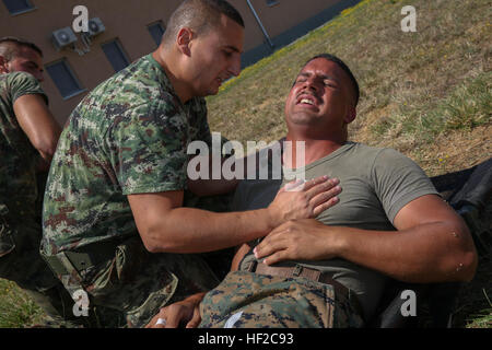 Serbische Armee Pvt. Krstic Goran sucht einen simulierten Unfall, U.S. Marine Corps CPL Francisco Segarra, massive Blutungen während der Teilnahme an einer Kampf-Lebensretter Schulung während des Trainings Platin Löwen 14-2 Novo Selo Trainingsbereich, Bulgarien, 2. August 2014. Die jährlich geplante Training Engagement fördert und stärkt Interoperabilität zwischen regionalen Partnern, Verbündeten und US-Truppen durch multilaterale Einarbeitung und Schulung. Übung Platin Lion 14-2 enthält Marines und Segler aus 3. Bataillon, 8. Marineregiment sowie Soldaten aus Bulgarien, Rom Stockfoto