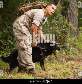 Lance Cpl. Jacob Varela, ein Kampf-Tracker mit militärischer Arbeitshund Platoon, 2. Law Enforcement Bataillon, II Marine Expeditionary Force Headquarters Group, und ein Chicago, Il., Native, Haustiere, seinen Hund Atilla nach fand sie eine versteckte Tennis ball an Bord der Marine Corps Base Camp Lejeune, North Carolina, 9. Oktober 2014. Atilla war in der Lage, den Ball durch die Verfolgung des Dufts von einem anderen marinen zu erfassen. (Foto: U.S. Marine Corps Lance Cpl. Lucas J. Hopkins/freigegeben) Entfesselt, militärische Arbeitshunde, bauen Handler Beziehung 141009-M-TR086-196 Stockfoto