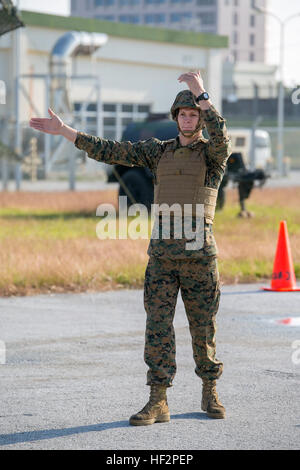 Lance Cpl. Chaitin L. Giessen benutzt Handzeichen 9 Dez. um seinen Fahrer bei einem LKW-Rodeo auf Camp Kinser leiten. Das Rodeo getestet Kraftverkehr Marines treibenden Fähigkeiten Wartung und allgemeine Fertigkeiten. Es war auch eine Weise des Holens der Kraftverkehr Gemeinschaft auf Okinawa zusammen, um Wissen und best Practices auszutauschen. Gießen, aus Indian Lake, New York, ist ein motor Transport Operator mit Hauptsitz Regiment, 3rd Marine Logistics Group, III. Marine Expeditionary Force. (U.S. Marine Corps Foto von Lance CPL William Hester/freigegeben) Rodeo Runden bis Motor T 141210-M-XX123-004 Stockfoto