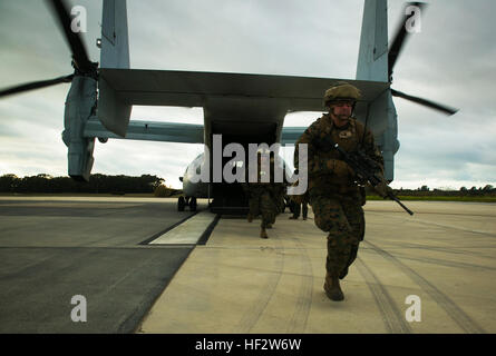 Zweite Lt. Alan Poe, ein Zugführer mit Spezial-Marine Air-Ground Task Force Crisis Response – Afrika, wird ein MV-22 Osprey während einer Warnung-Force Bohrmaschine auf Rota Air Base, Spanien, 29. Januar 2015 beendet. Die Marines gesichert ihre Landezone und extrahiert einen simulierten Unfall reloaded ihre Flugzeuge in weniger als 30 Minuten. (U.S. Marine Corps Foto von Sgt. Paul Peterson/freigegeben) MomentE28099s Mitteilung, Krise Antwort Marines komplette Bereitschaft Probe aus Spanien 150129-M-ZB219-034 Stockfoto