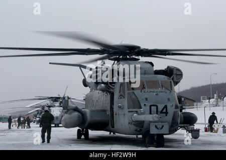 Marines mit Marine schwere Hubschrauber Geschwader 464 führen ihre Vorflugkontrolle auf einen CH-53-Super-Hengst während ihres Einsatzes für das training Übung an Bord Lager Dawson, W. VA., 30. Januar 2015. Das Geschwader kamen im Lager Dawson, Jan. 30 für ihre DFT und verbrachten etwa zwei Wochen lernen, wie man Luft Operationen in einer kälteren Umgebung als sie es gewohnt sind. HMH-464 Schlacht Kälte während DFT 150130-M-FD819-842 Stockfoto