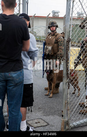 U.S. Marine Corps CPL. Sara M. Ohlms, militärische Hundeführer, 3. Law Enforcement Bataillon, bietet Sicherheit mit ihrem Arbeitshund Kuko während einer nichtkämpfenden Evakuierung im Rahmen der Zertifizierung Übung (CERTEX), auf Lager Hansen, Okinawa, Japan, 22. März 2014. CERTEX ist der kulminierende Fall der MEU jährliche Frühling Patrouille des asiatisch-pazifischen Raum. (US Marine Corps Foto von Gunnery SGT Ismael Pena/freigegeben) 31. MEU führt nichtkämpfenden Evakuierungsoperationen 150322-M-CX588-024 Stockfoto