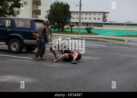 Ein U.S. Marine Corps CPL. Sara M. Ohlms, militärische Hundeführer, 3. Bataillon der Law Enforcement und ihr Gebrauchshund Kuko verhaften einen feindlichen Rollenspieler während einer nichtkämpfenden Evakuierung im Rahmen der Zertifizierung Übung (CERTEX), auf Lager Hansen, Okinawa, Japan, 22. März 2014. CERTEX ist der kulminierende Fall der MEU jährliche Frühling Patrouille des asiatisch-pazifischen Raum. (US Marine Corps Foto von Gunnery SGT Ismael Pena/freigegeben) 31. MEU führt nichtkämpfenden Evakuierungsoperationen 150322-M-CX588-047 Stockfoto