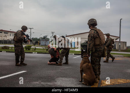 US-Marines mit Battalion Landing Team 2. Bataillon, 4. Marinen, 31. Marine Expeditionary Unit (MEU), eine feindliche Rollenspieler festzuhalten, wie U.S. Marine Corps CPL. Sara M. Ohlms, militärische Hundeführer, 3. Bataillon der Law Enforcement und ihr Gebrauchshund Kuko Sicherheitsleistung während einer nichtkämpfenden Evakuierung im Rahmen der Zertifizierung Übung (CERTEX), auf Lager Hansen, Okinawa, Japan, 22. März 2014. CERTEX ist der kulminierende Fall der MEU jährliche Frühling Patrouille des asiatisch-pazifischen Raum. (US Marine Corps Foto von Gunnery SGT Ismael Pena/freigegeben) 31. MEU führt nichtkämpfenden Evacua Stockfoto