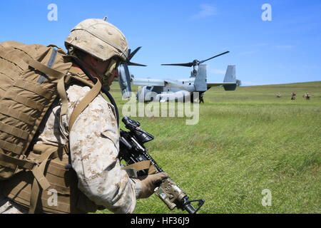 Ein US-Marine, Charley Unternehmen, 1. Bataillon, 7. Marineregiment zugewiesen (1/7), 1. Marineabteilung, läuft durch ein Feld als Teil eines langfristigen RAID-Übung mit MV-22 Osprey Tiltrotor Flugzeug von Marine Medium Tiltrotor Squadron (VMM) 166, Marine Aircraft Gruppe 16, 3rd Marine Aircraft Wing, während Wüste Krummsäbel 2015 (DS15) auf Fort Hunter Liggett, Calif., 11. April 2015. DS15 ist eine kombinierte Waffen-Übung, die Einheiten zu pflegen Bereitschaft und aktuellen und zukünftigen realen Anforderungen ermöglicht. (Foto: U.S. Marine Corps CPL Darien J. Bjorndal, 3rd Marine Aircraft Wing / veröffentlicht) US-M Stockfoto