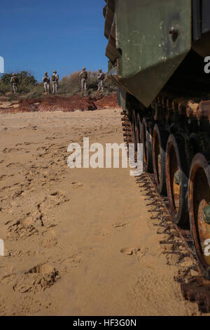 US-Marines post Sicherheit vor AAV-P7/A1 amphibischen Angriff Fahrzeuge 8. Juli 2015. Die Marines mit Echo Company, Battalion Landing Team 2. Bataillon, 5. Marines, 31. Marine Expeditionary Unit, bilden, amphibische Angriffe bei Nebel Bay, Australien, im Rahmen der Talisman Sabre 2015 durchzuführen. Die 31. MEU beteiligt sich Talisman Sabre in Australien während auf einer regelmäßigen Herbst Patrouille der Asien-Pazifik-Region bereitgestellt. (Foto: U.S. Marine Corps CPL. Ryan C. Mains/freigegeben) Marines Durchführung amphibischen Angriff Ausbildung 150708-M-WM612-252 Stockfoto