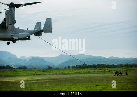 US-Marines fungieren als Anker, während Philippine Marines Seil von einer MV-22 b Osprey schnell, Marine Medium Tiltrotor Squadron 262 während Air Assault Support Übung 2015-2 auf Basa Air Base in Pampanga, Philippinen, 19. Juli 2015 zugewiesen. Mit der Gründung eines Ankerpunkts, halten die US-Marines das Seil zu steuern, die der Weg der Abstieg, die Gewährleistung der Service-Mitglieder sicher landen kann. AASE ist eine bilaterale Übung zwischen philippinischen Streitkräfte und US-Marines zur Partnerschaft zwischen den beiden Nationen zu stärken. Die US-Marines sind mit Fox Company, 2. Bataillon, 3. Marine D Stockfoto