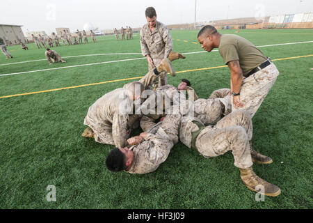 CAMP LEMONIER, Dschibuti (5. August 2015) US-Marines mit Ostindien-Kompanie, Battalion Landing Team 3. Bataillon, 1. Marineregiment, 15. Marine Expeditionary Unit, waffenlose Kampftechniken zu üben. Die Marines verbinden körperliches Training und Lehrmethoden, klein-Einheit Führung unter ihren jungen Marines zu bauen.  Elemente des 15. MEU sind an Land in Dschibuti für Erhaltung Ausbildung zu erhalten und zu verbessern die Fähigkeiten, die sie während ihrer Periode der Einsatzvorbereitenden Ausbildung entwickelt.  Die 15. MEU ist derzeit zur Unterstützung der maritimen Sicherheit und Theater Sicherheit Cooper bereitgestellt. Stockfoto