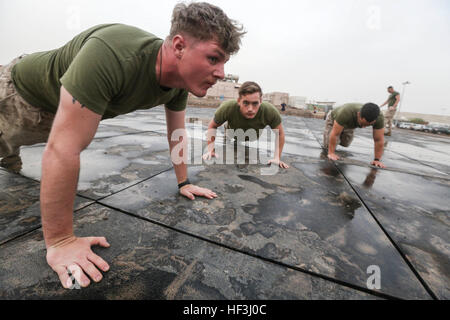 CAMP LEMONIER, Dschibuti (5. August 2015) US-Marines mit Ostindien-Kompanie, Battalion Landing Team 3. Bataillon, 1. Marineregiment, 15. Marine Expeditionary Unit, Liegestütze während einer Teambuilding-körperliches Training Session durchführen. Elemente des 15. MEU sind an Land in Dschibuti für Erhaltung Ausbildung zu erhalten und zu verbessern die Fähigkeiten, die sie während ihrer Periode der Einsatzvorbereitenden Ausbildung entwickelt. Die 15. MEU ist derzeit im Einsatz zur Unterstützung der Sicherheit im Seeverkehr Operationen und Sicherheitsbemühungen Zusammenarbeit Theater in den USA 5. Flotte Einsatzgebiet. (U.S. Marine Corps Foto von Sgt. Jamean B Stockfoto