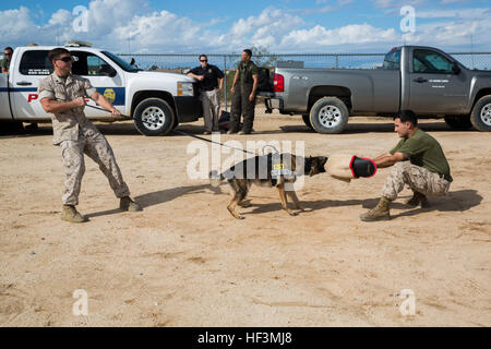 Sgt. Jonathan Scudder, militärische arbeiten Dog Handler, Provost Marshal es Office Befehle Colli, militärischer Arbeitshund, zu beißen und halten Sie sich an Sgt. Darren Westmoreland, militärischer Arbeitshund Handler, PMO, während einer k-9 Unit Demonstration als Bestandteil der Stadt Twentynine Palms Gruß an diejenigen dienen, die Feier in der Twentynine Palms Junior High School Tom Nicoll Memorial Stadium, Okt. 16 , 2015. (Offizielle Marinekorps Foto von Lance Cpl. Levi Schultz/freigegeben) Combat Center verbindet Salute 151016-M-PS017-038 Stockfoto