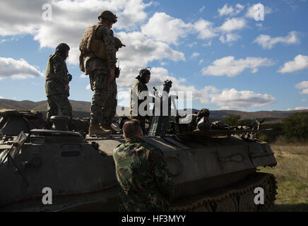 Bulgarische Streitkräfte durchführen indirektes Feuer Übungen mit BMP-1 s und familiäre kombiniert Arme Firma Marines mit dem BMP-1 Waffensysteme während Platin Löwen 16-1 Novo Selo Trainingsbereich, Bulgarien, 31. Oktober 2015. CAC, Bestandteil der Schwarzmeer-Drehkraft bietet Tank, Aufklärungs- und Artillerie Unterstützung zur Verbesserung der multilateralen Training beruhigend NATO-Verbündeten und Partner unseres Engagements für regionale Verteidigung. (US Marine Corps Foto von CPL. Justin T. Updegraff / veröffentlicht) US Marines trainieren mit europäischen Streitkräften in Bulgarien 151030-M-TV331-030 Stockfoto