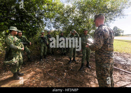 TUTONG, Brunei (11. November 2015) US Marine Sgt. Bryan Hagan beauftragt Soldaten mit der Royal Brunei Land-Kraft auf patrouillierenden Verfahren bei kombiniert flott Bereitschaft und Training - Brunei-2015.  Hagan ist ein Squad-Leader mit Ostindien-Kompanie, Battalion Landing Team 3. Bataillon, 1. Marineregiment, 15. Marine Expeditionary Unit. Elemente des 15. MEU sind an Land in Brunei, Tag und Nacht Training in einem städtischen Umfeld durchzuführen und zur Verbesserung der Interoperabilität und Partnerschaft zwischen den USA und Brunei. Die 15. MEU ist derzeit in der Indo-Asien-Pazifik-Region regionale Förderung bereitgestellt. Stockfoto