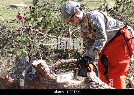 Soldaten der Virginia National Guard unterstützen am 28. Februar 2016 lokale, staatliche, bundesstaatliche und freiwillige Organisationen im Appomattox County, Virginia, nach Unwettern. Soldaten des 276. Ingenieur-Bataillons, des 91. Truppenkommandos und des 116. Spezialtruppenbataillons räumen Trümmer, führen Gesundheits- und Wohlfahrtskontrollen durch und liefern Nahrung und Wasser. Stockfoto