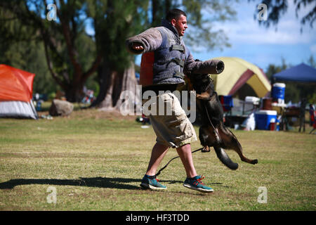 Polizist Travis Cleaveland, einen militärischen Gebrauchshund-Handler für die Provost Marshal militärische Arbeitshunde Büroeinheit mit Hauptsitz Bataillon vom Marine Corps Base Hawaii zeigt einen mock Takedown mit Nero, eines der Militärpolizei Hunde dort für Cub Scout Truppe 311 an Bord Marine Corps Training Bereich Balg, 5. März 2016. Marines und zivilen Beamten verschiedene Befehle gegeben ihre Hunde, ihre Intelligenz und ihren Gehorsam zu zeigen. Die Hundeführer auch zermürbte eine Biss-Jacke für ein mock nehmen von den Hunden, die Scouts zu zeigen, die Disziplin und Ausbildung der Hunde, wenn zeigen f Stockfoto