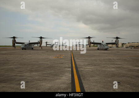 MV-22 Fischadler mit Marine Medium Tiltrotor Geschwader 265, 31. Marine Expeditionary Unit, warten auf grünes Licht für den Start April 17 auf der Marine Corps Air Station Futenma. United States Forces Japan ist in Abstimmung mit der Regierung Japans Bemühungen um eine Erleichterung nach dem verheerenden Erdbeben in der Nähe von Kumamoto operative Luftbrücke unterstützen. "Wir unser tiefstes Beileid an alle betroffenen, die durch die jüngsten Erdbeben in Kyushu, zum Ausdruck bringen", sagte Generalleutnant John Dolan, Kommandeur der USFJ. "Für die Menschen in Japan und in der Region, die von dieser Tragödie betroffen senden wir unsere herzlichen sympath Stockfoto