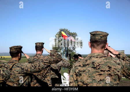 US-Marines mit Schwarzmeer Drehkraft und rumänische Soldaten mit 911th Infanterie-Bataillon und 912th Tank Battalion Gruß während der Nationalhymnen für die Abschlussveranstaltung des Platinum Lynx 16-4 an Bord Babadag Trainingsbereich, Rumänien, 21. April 2016. Der Zweck hinter Platin Lynx ist zu verbessern Bereitschaft und Marines Fähigkeit, nahtlos mit anderen NATO und Partner Nationen auf der ganzen Welt arbeiten. (Foto: U.S. Marine Corps CPL. Immanuel M. Johnson/freigegeben) Service-Mitglieder verbessern Partnerschaft durch mechanisierte Training 160422-M-PJ201-004 Stockfoto