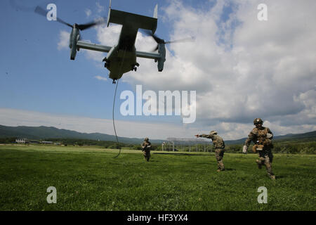 US-Marines mit Bravo Company, speziellen Zweck Marine Air-Ground Task Force Krise Antwort-Afrika, Praxis schnell Seiltechnik während Platin Lion 16-3 an Bord Novo Selo Trainingsbereich, Bulgarien, 11. Mai 2016. Hunderte von Soldaten aus fünf NATO-Staaten kamen zusammen mit mechanisierten Vermögenswerte zu trainieren und die Fähigkeit, nahtlos als eine Kraft zu demonstrieren. (Foto: U.S. Marine Corps CPL. Immanuel M. Johnson/freigegeben) US-Marines trainieren neben Partnerstaaten zur Stärkung der Integration (Bild 1 von 12) 160511-M-PJ201-002 Stockfoto