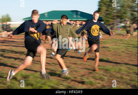 CAMP NAVAJO, Arizona (14. August 2016) – Midshipman Kandidaten Spencer Lohr, Matt Burdick und George Beyerlein von der University of Arizona Naval Reserve Officer Training Corps Einheit Verhalten Aufwärmübungen vor ihrer körperliche Fitness 14. August 2016, Camp Navajo, Arizona, während gemeinsame neue Student Orientierungstraining testet.  Die einwöchige NSO Ausbildung fand Aug. 12-19, mit der Hälfte kombiniert im Camp Navajo neben Neuling Kandidaten von der University of New Mexico und Arizona State University NROTC Einheiten und die zweite Hälfte der University of Arizona in Tucson, Arizona.  Die joi Stockfoto