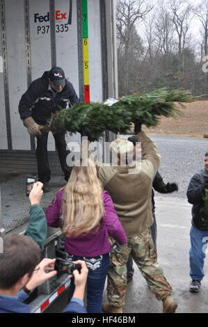 US Armee Personal Sgt. Clinton Camp, einem Personalvermittler von Saratoga Springs, New York, während des Ladens der gespendeten Bäume 29. November 2016 zur Unterstützung der Bäume für die Truppen auf Ellms Baumschule in Ballston Spa hilft, N.Y. Camp trat mehr als 20 Flieger aus der New York Air National Guard 109. Airlift Wing mit Sitz in Scotia, N.Y., einige 130 Urlaub Bäume mit gespendeten Ornamenten und Urlaubswünsche zu versenden. Klemme vorausgesetzt, Wertschätzung für die Spende von Weihnachtsbäumen im Namen Kolleginnen und Soldaten im Einsatz. Bäume für Truppen hat seit 2005 mit freundlicher Genehmigung von FedE Weihnachtsbäume Service-Mitglieder und Familien gespendet Stockfoto