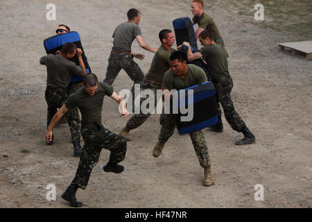 Ukrainische Armeesoldaten mit der 30. Mechanisierte Infanterie-Brigade, Angriff Marines mit 1. Panzerbataillon Scout Zug während einer Marine Corps Martial Arts Programm körperliche Übung am Babadag Trainingsbereich, Rumänien, Juni 16. Die PT wurde entwickelt, um die MCMAP Fähigkeiten integrieren, die sie während der ganzen Woche gelernt haben. Schwarzmeer-Drehkraft-DVIDS290542 Stockfoto