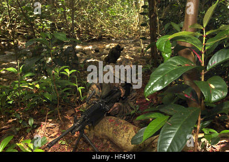 030416-M-4588D-022 Oahu, Hawaii (16. April 2003)--Marines zugewiesen 3. Bataillon 3. Marine Regiment, Marine Corps Base Hawaii, Durchführung von Dschungel-Übungen auf der Insel Oahu.  US Marine Corps Foto von Lance CPL Glenna D. Dixon.  (FREIGEGEBEN) US Navy 030416-M-4588D-022 Marines zugewiesen, 3. Bataillon 3. Marine Regiment, Marine Corps Base Hawaii, Durchführung von Dschungel-Übungen auf der Insel Oahu Stockfoto