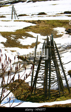 Winter in den polnischen Bergen. Auf dem Bild stehen auf Heu (polnischer Name: "Osterwka"). Stockfoto