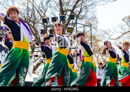 Japanische yosakoi Dance Festival. Männer und Frauen tanzen auf der Bühne in bunten Kostümen. Low Angle View entlang der Tänzer. Stockfoto