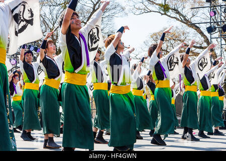 Japanische yosakoi Dance Festival. Männer und Frauen tanzen auf der Bühne in bunten Kostümen. Low Angle View entlang der Tänzer. Arme angehoben. Stockfoto