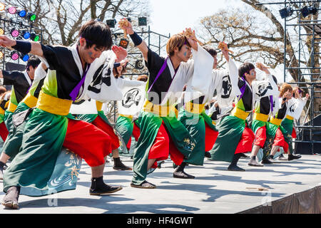 Japanische yosakoi Dance Festival. Männer und Frauen tanzen auf der Bühne in bunten Kostümen. Low Angle View entlang der Tänzer. Stockfoto