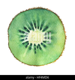 Der frische Kiwis in Scheiben schneiden. Handgezeichnete Aquarell auf weißem Hintergrund. Stockfoto