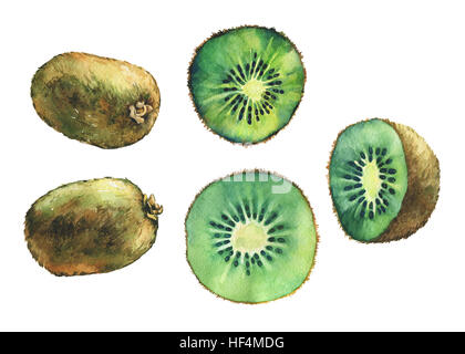 Satz von ganzen frisches Obst und Slice Kiwis. Handgezeichnete Aquarell auf weißem Hintergrund. Stockfoto