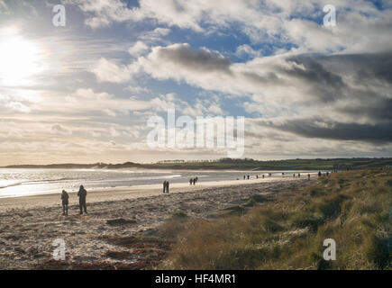 Menschen zu Fuß entlang des Strandes bei Alnmouth, Northumberland am Weihnachtstag 2016, England, UK Stockfoto