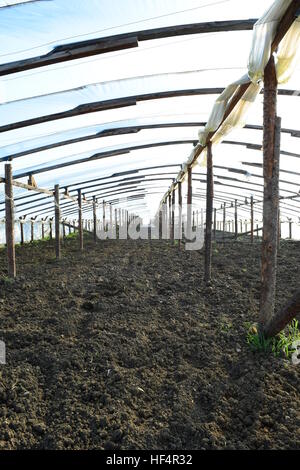 Gewächshäuser der Polymerfolie hergestellt. Zeitigen Frühjahr in den Garten Gewächshäusern. Stockfoto